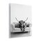 Stupell Industries Highland Cow on Couch Wall Plaque By Petal Prints Design